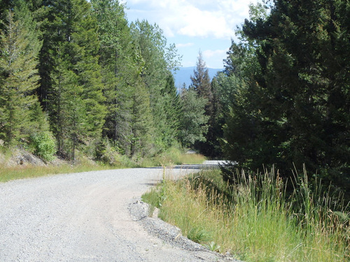 GDMBR: We were pedaling down (east) NF-4106, Montana.